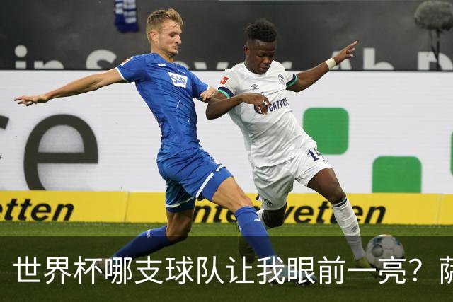 世界杯哪支球队让我眼前一亮？萨内蒂：日本和摩洛哥绝对是代表