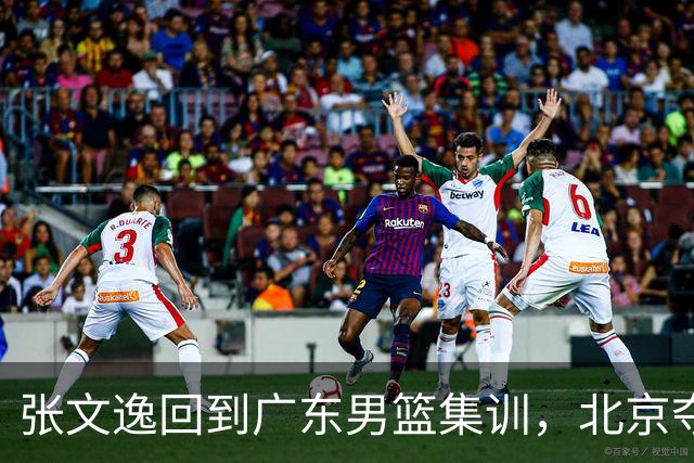 张文逸回到广东男篮集训，北京夺冠功勋确定退役，上海欲续约弗格